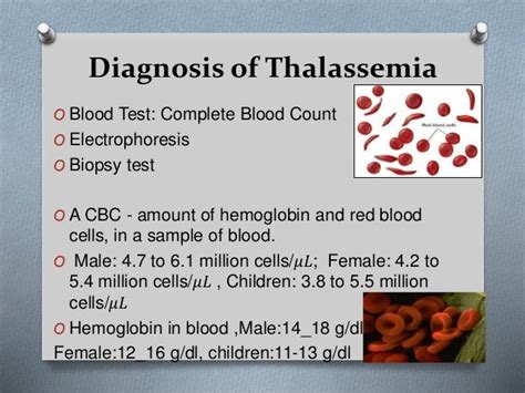 thalassemia etymology|thalassemia trait diagnosis.
